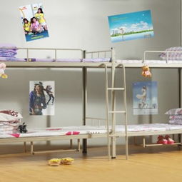 學校鐵床批發采購指南 東莞連發辦公設備廠優惠促銷全面解析